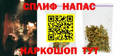 гидра Ачхой-Мартан