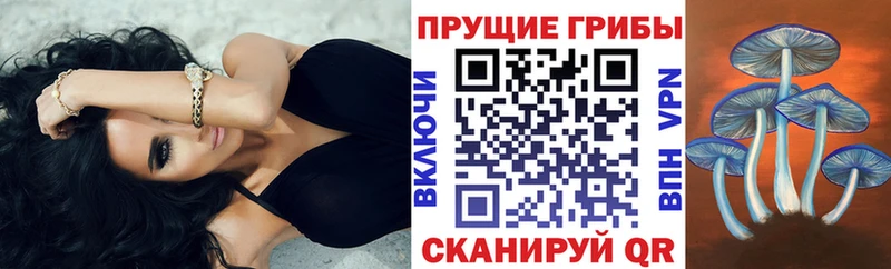 Галлюциногенные грибы Magic Shrooms Бердск