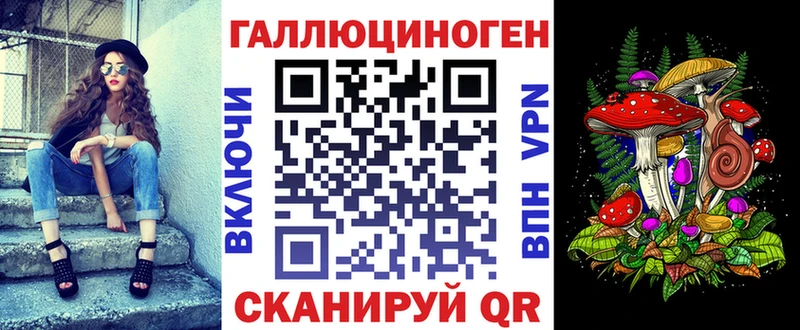 Псилоцибиновые грибы Cubensis  Бердск 