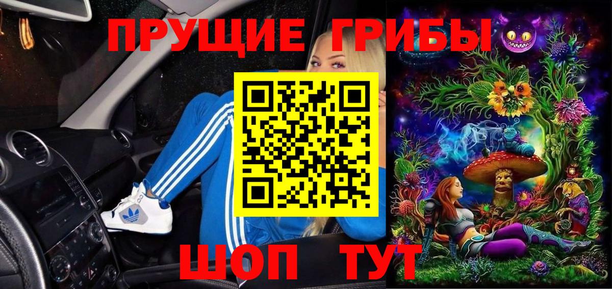 Галлюциногенные грибы GOLDEN TEACHER Бердск