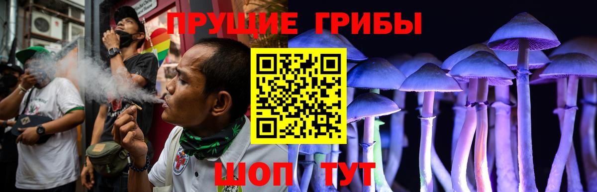 Бердск  Псилоцибиновые грибы MAGIC MUSHROOMS  Вход с VPN 